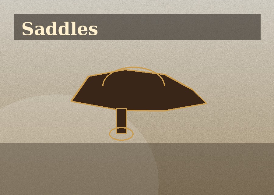 Saddles